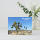 Joshua Tree Briefkaart! Briefkaart (Staand voorkant)