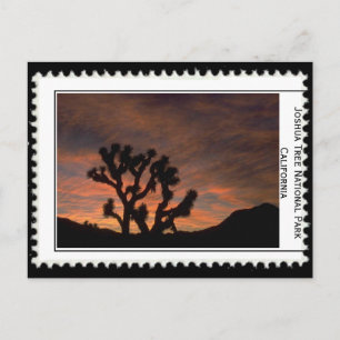 Joshua Tree California Briefkaart