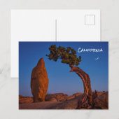 Joshua Tree California Briefkaart (Voorkant / Achterkant)