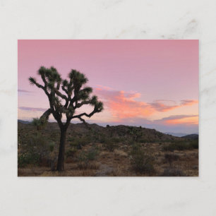 Joshua Tree California Sunset Briefkaart
