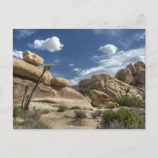 Joshua Tree, Californië Briefkaart