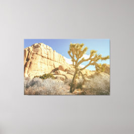 Joshua Tree Canvas Afdruk