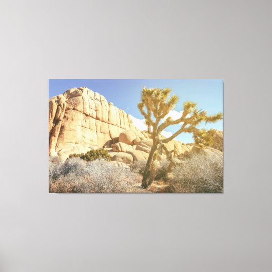Joshua Tree Canvas Afdruk (Voorkant)