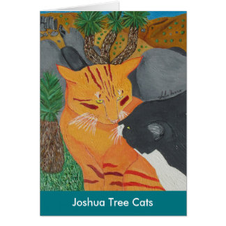 Joshua Tree Cats