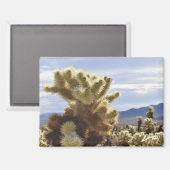 Joshua Tree Cholla Magnet (Recto/Verso)