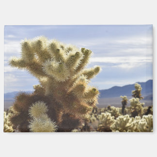 Joshua Tree Cholla Magnet Magneet