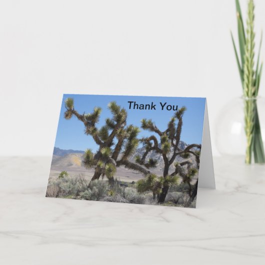 Joshua Tree en Californie (Devant)