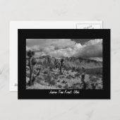 Joshua Tree Forest, Utah Briefkaart (Voorkant / Achterkant)