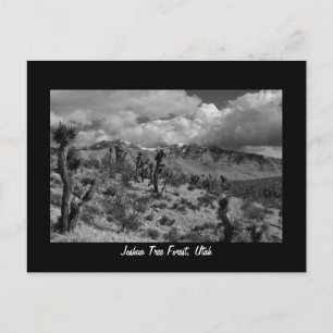 Joshua Tree Forest, Utah Briefkaart