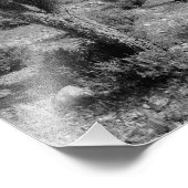 Joshua Tree Forest, Utah Foto Afdruk (Hoek)