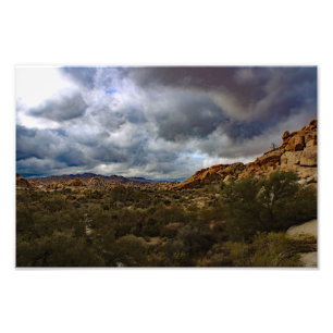 Joshua Tree Foto Afdruk