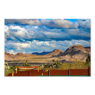 Joshua Tree Foto Afdruk