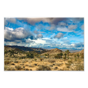 Joshua Tree Foto Afdruk