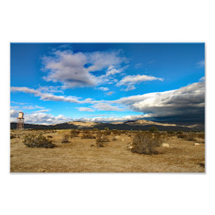 Joshua Tree Foto Afdruk