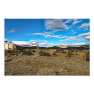 Joshua Tree Foto Afdruk