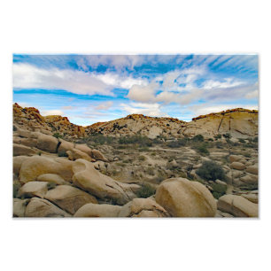 Joshua Tree Foto Afdruk