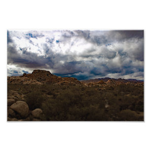 Joshua Tree Foto Afdruk