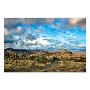 Joshua Tree Foto Afdruk