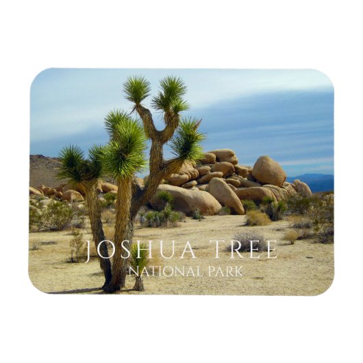 Joshua Tree, Giant Boulders, woestijn Magneet (Horizontaal)