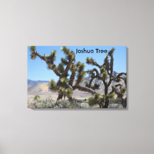 Joshua Tree in Californië Canvas Afdruk