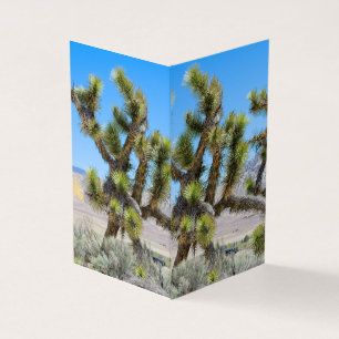 Joshua Tree in Californië Kaart