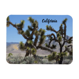 Joshua Tree in Californië Magneet