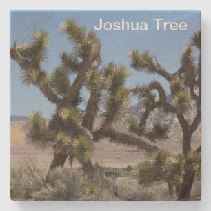 Joshua Tree in Californië Stenen Onderzetter