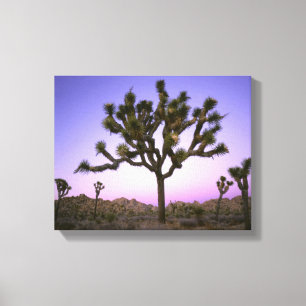 JOSHUA TREE NATIONAAL PARK, CALIFORNIË. VS. CANVAS AFDRUK