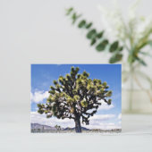 Joshua Tree - Nationaal Park Joshua Tree Briefkaart (Staand voorkant)