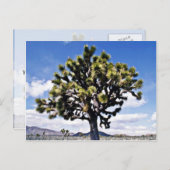 Joshua Tree - Nationaal Park Joshua Tree Briefkaart (Voorkant / Achterkant)