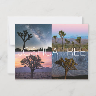 Joshua Tree National Park Ansichtkaart Briefkaart