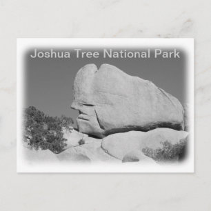 Joshua Tree National Park ansichtkaart! Briefkaart