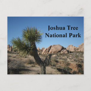 Joshua Tree National Park California Travel USA Briefkaart