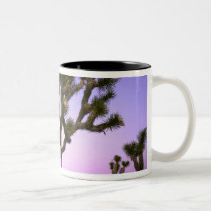 JOSHUA TREE NATIONAL PARK, CALIFORNIË. VS. TWEEKLEURIGE KOFFIEMOK