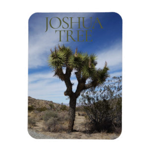 Joshua Tree National Park Magnet Magneet