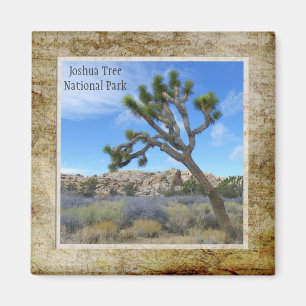 Joshua Tree National Park Magnet. Magneet
