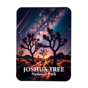 Joshua Tree National Park Nachtelijke Hemel Melkwe Magneet