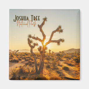 Joshua Tree National Park Souvenir Gift Magnet Magneet