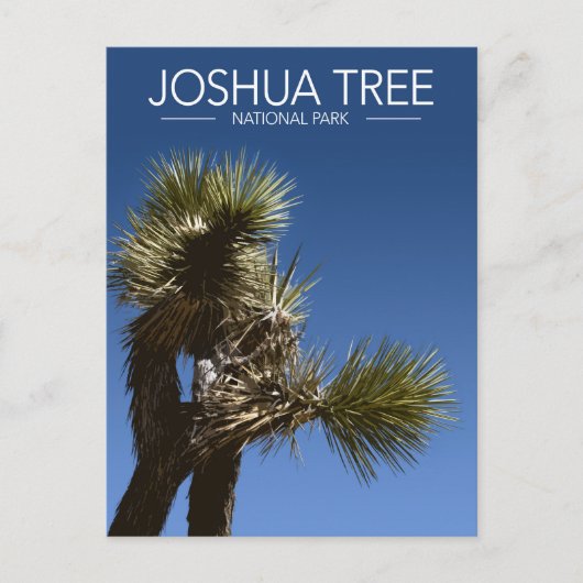Joshua Tree National Park vertakkingen gestileerde Briefkaart (Voorkant)