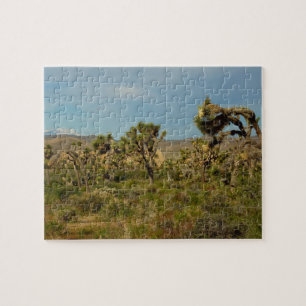 Joshua Tree National Park Woestijn Landschap Legpuzzel