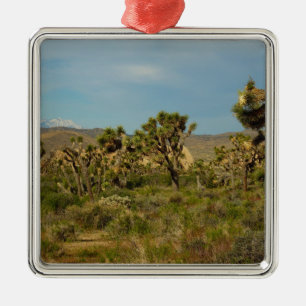 Joshua Tree National Park Woestijn Landschap Metalen Ornament