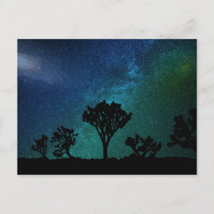 Joshua Tree Night Sky Briefkaart