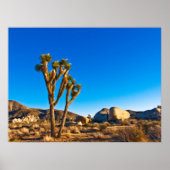 Joshua Tree Poster (Voorkant)
