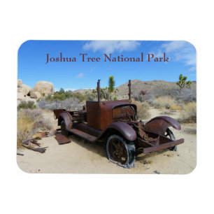 Joshua Tree Premium Magnet! Magneet