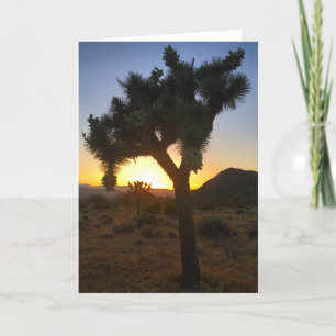 joshua tree sunset #3 wenskaart kaart