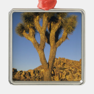 Joshua Tree, Yucca brevifolia), en graniet Metalen Ornament