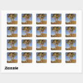 Joshua Tree, Yucca brevifolia) en graniet Vierkante Sticker (Vel)