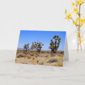 Joshua Trees, Désert de Mojave, Carte de voeux (Fleur jaune)