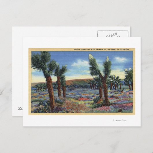 Joshua Trees en Desert Wild Flowers Uitzicht Briefkaart (Voorkant / Achterkant)