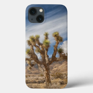 Joshua Trees in woestijn iPhone 13 Hoesje
